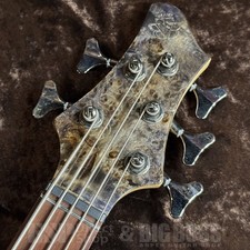 Ibanez BTB845