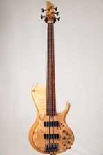 Guitare basse électrique